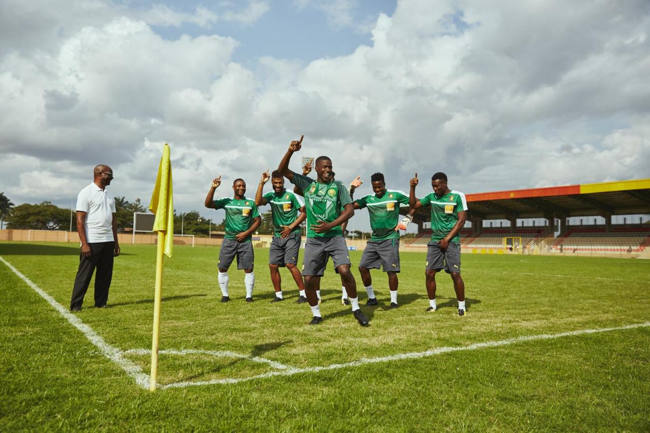 Cameroon 2018 Puma Home Kit Football Shirt