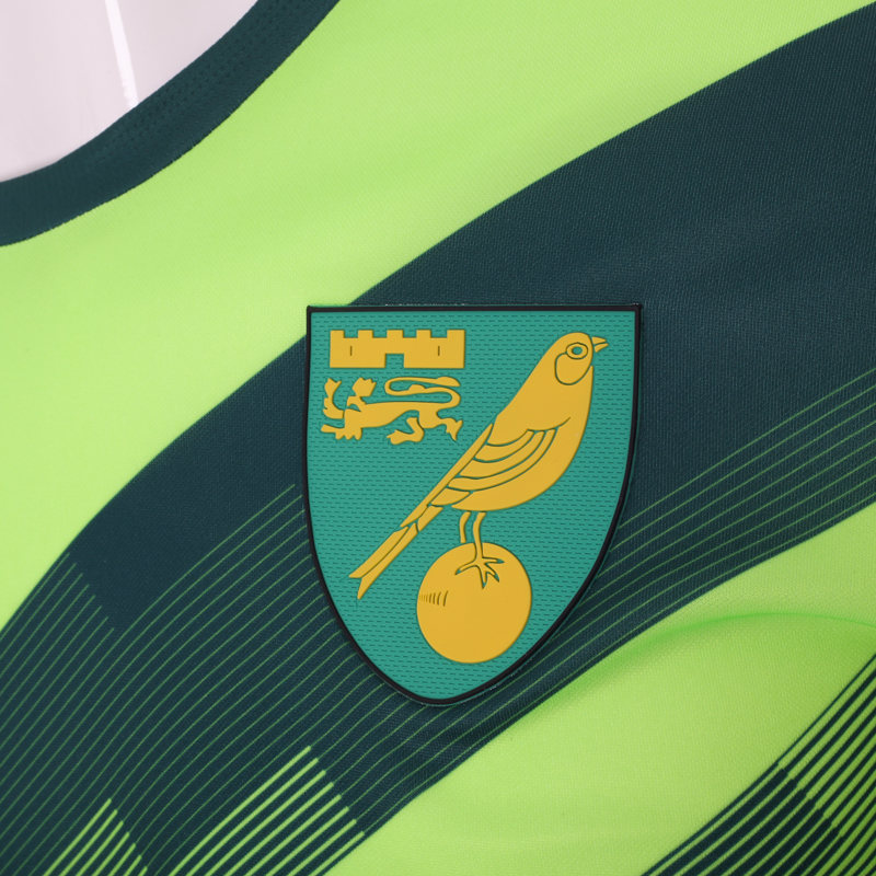 Norwich 2018-19 Third Kit